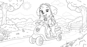 Kolorowanki Skye PAW Patrol